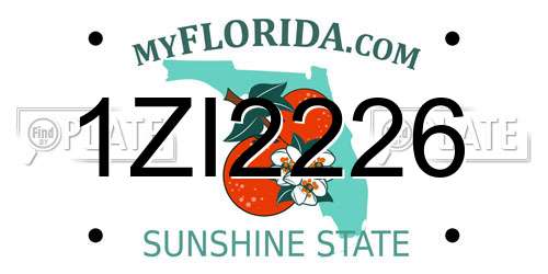 1ZI2226 Florida License Plate