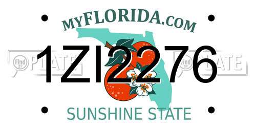 1ZI2276 Florida License Plate