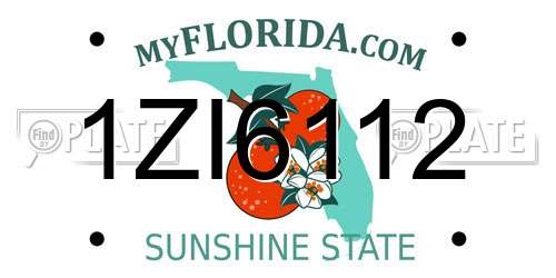 1ZI6112 Florida License Plate