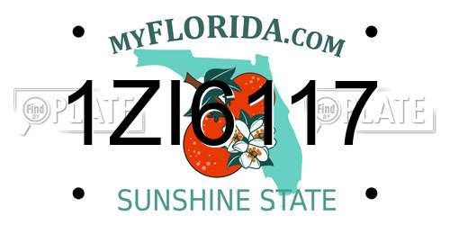 1ZI6117 Florida License Plate