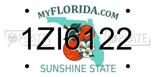 1ZI6122 Florida License Plate