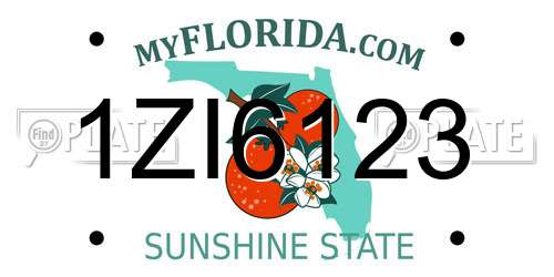 1ZI6123 Florida License Plate