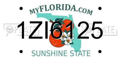 1ZI6125 Florida License Plate