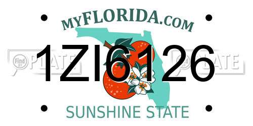 1ZI6126 Florida License Plate