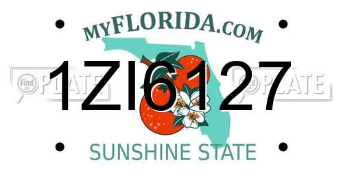 1ZI6127 Florida License Plate