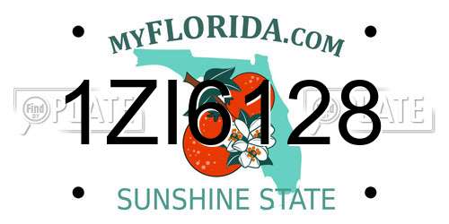 1ZI6128 Florida License Plate