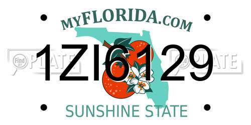 1ZI6129 Florida License Plate