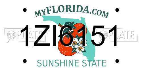 1ZI6151 Florida License Plate