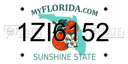1ZI6152 Florida License Plate