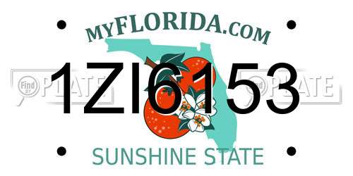 1ZI6153 Florida License Plate