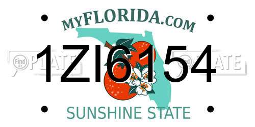 1ZI6154 Florida License Plate