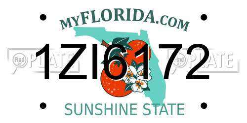 1ZI6172 Florida License Plate