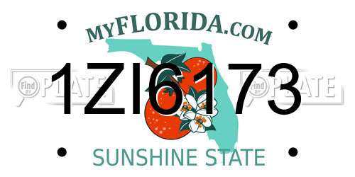 1ZI6173 Florida License Plate