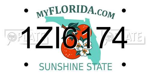 1ZI6174 Florida License Plate