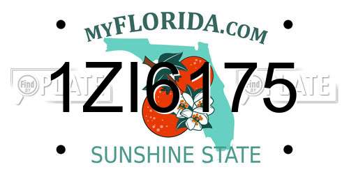 1ZI6175 Florida License Plate