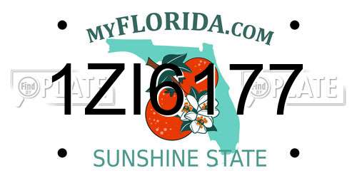 1ZI6177 Florida License Plate