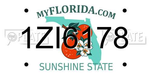 1ZI6178 Florida License Plate