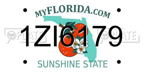 1ZI6179 Florida License Plate