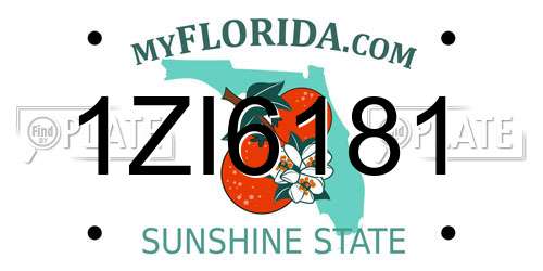 1ZI6181 Florida License Plate
