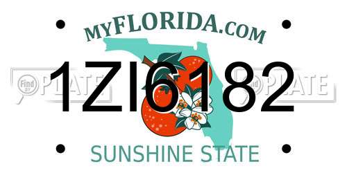 1ZI6182 Florida License Plate