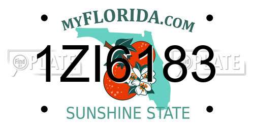 1ZI6183 Florida License Plate