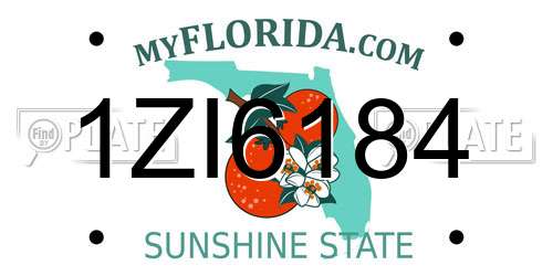 1ZI6184 Florida License Plate