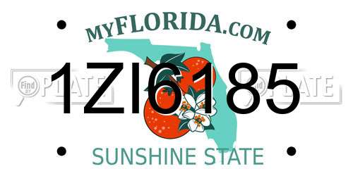 1ZI6185 Florida License Plate
