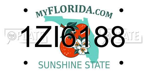 1ZI6188 Florida License Plate