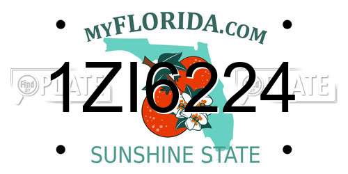 1ZI6224 Florida License Plate