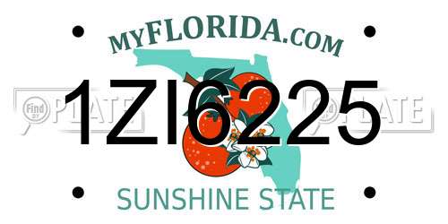 1ZI6225 Florida License Plate