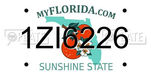 1ZI6226 Florida License Plate