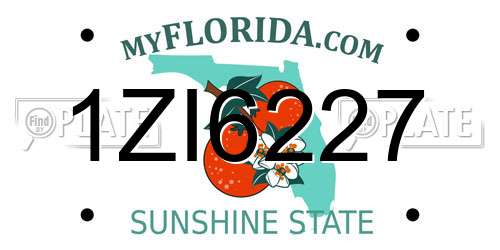 1ZI6227 Florida License Plate
