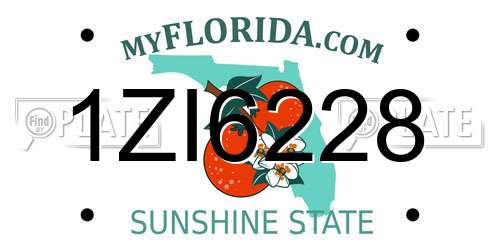 1ZI6228 Florida License Plate