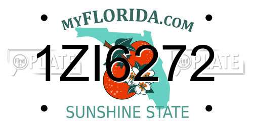 1ZI6272 Florida License Plate
