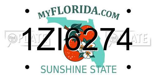 1ZI6274 Florida License Plate