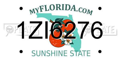 1ZI6276 Florida License Plate