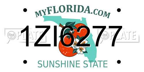 1ZI6277 Florida License Plate