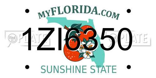 1ZI6350 Florida License Plate
