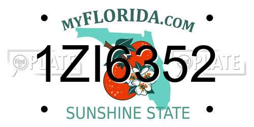 1ZI6352 Florida License Plate