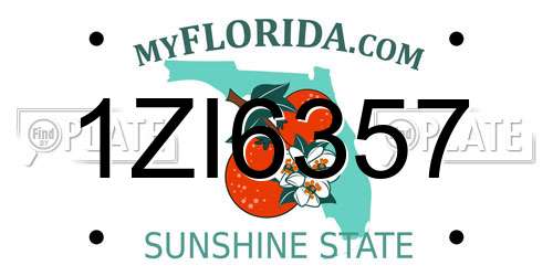 1ZI6357 Florida License Plate