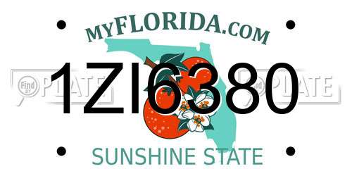 1ZI6380 Florida License Plate
