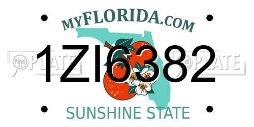 1ZI6382 Florida License Plate