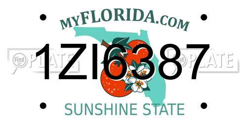 1ZI6387 Florida License Plate