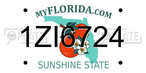 1ZI6724 Florida License Plate