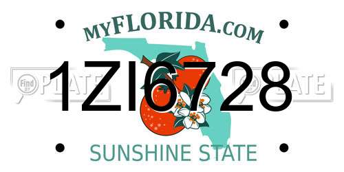 1ZI6728 Florida License Plate