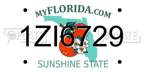 1ZI6729 Florida License Plate