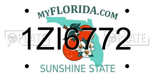 1ZI6772 Florida License Plate