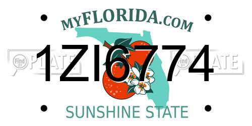 1ZI6774 Florida License Plate