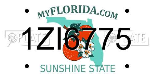 1ZI6775 Florida License Plate