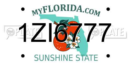 1ZI6777 Florida License Plate